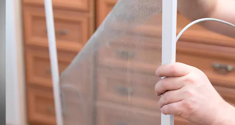 Privacy Mesh Screen Door Installation in Boynton Beach, FL